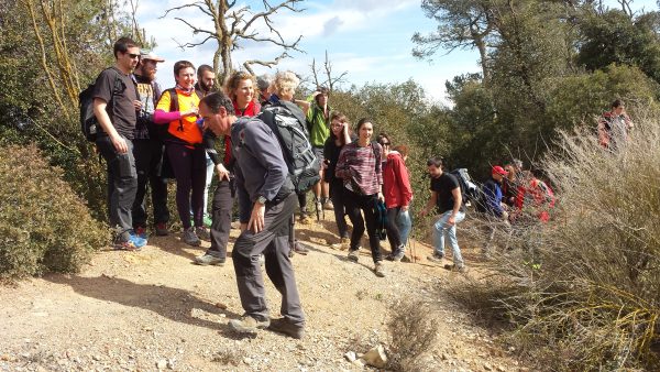 Primer «Camino del Ave»