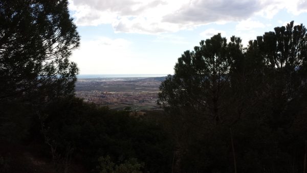 Primer «Camino del Ave»