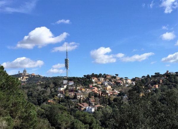 Primer «Camino del Ave»
