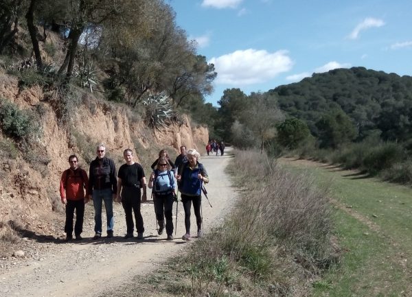 Primer «Camino del Ave»